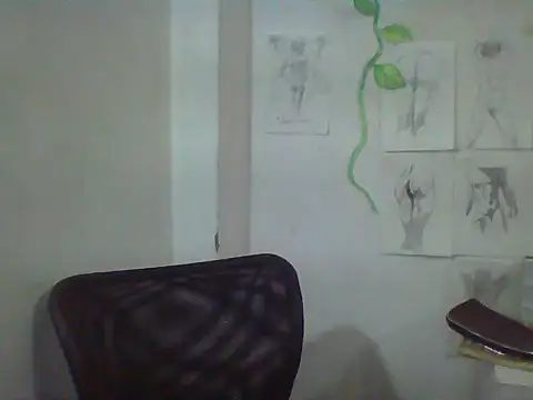LaCuerva webcam