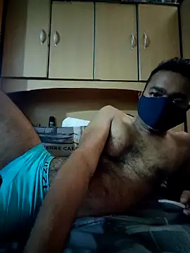 Colt291 live cam on StripChat