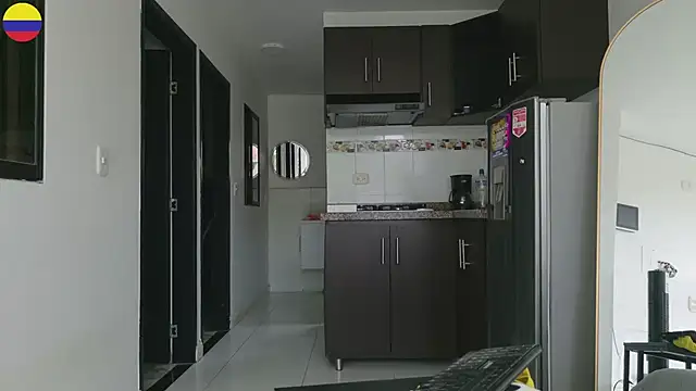 grey___27 webcam