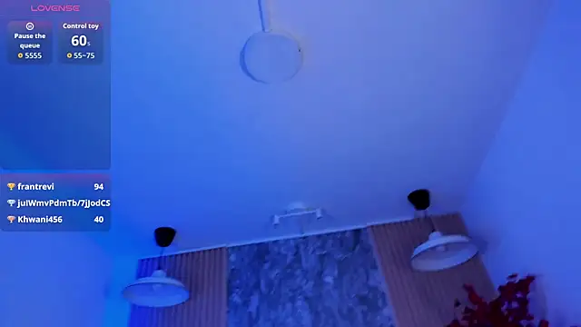 Sulay_Kim webcam