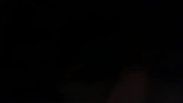 mrnordcock webcam