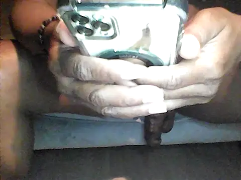 perlados webcam
