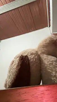 Karim_mansur webcam