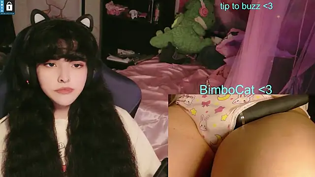 BimboCat webcam