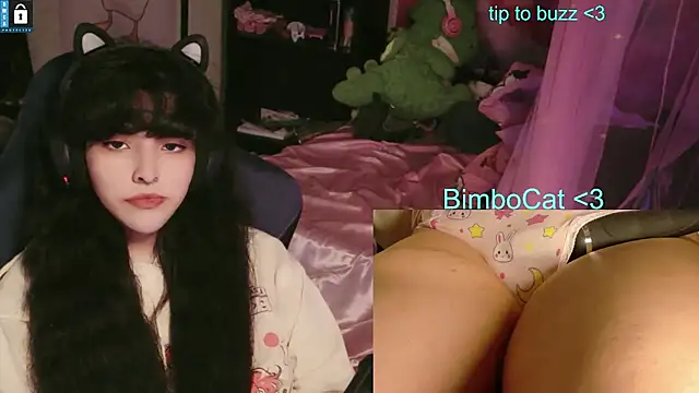BimboCat webcam