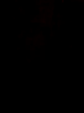 S7LEALTADPERVLIMA7 webcam