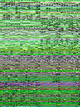 Lucky_Flora webcam