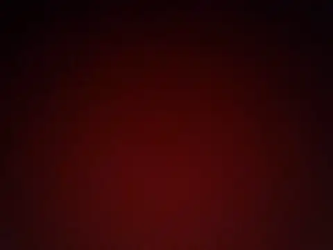 lithecross webcam