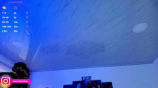 Nicorobinn webcam