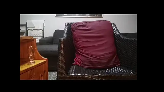 Tyyson03 webcam