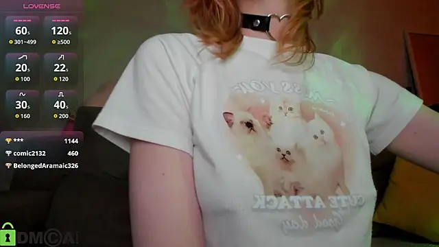 Little_Chips webcam