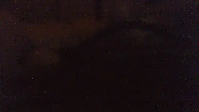 pietje1991 webcam
