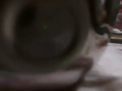 anuscunt webcam