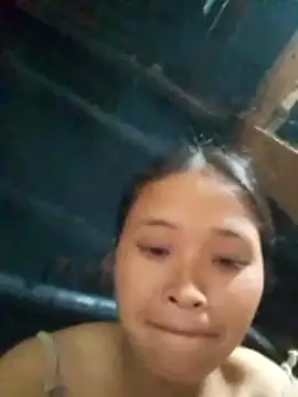 Liss-mimi webcam