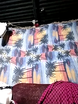WonttoVender webcam