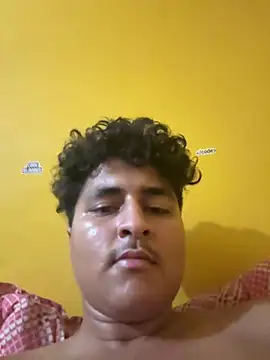 cannonWithMuscles webcam