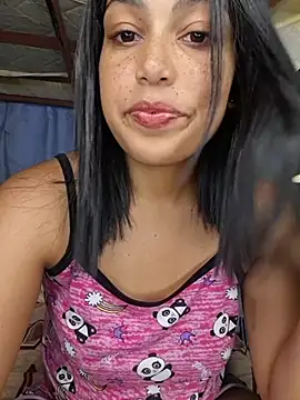 Putaalexa webcam