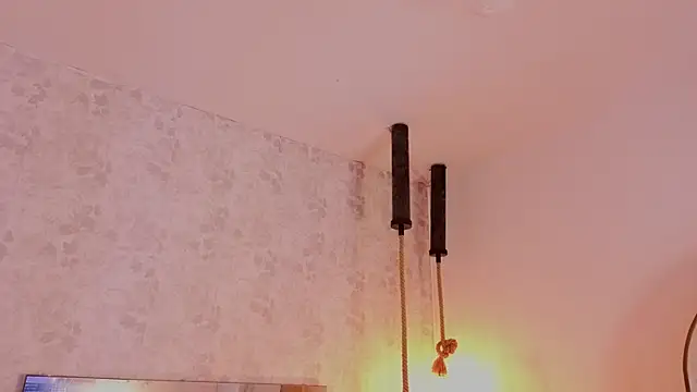 pixy_20 webcam