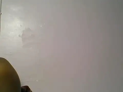 kittydew webcam