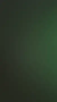 karim_mansur's live room