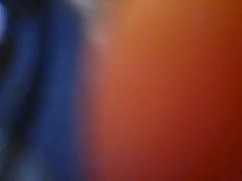 Thickfun96 webcam