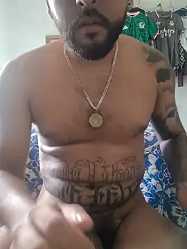 dickman10 webcam