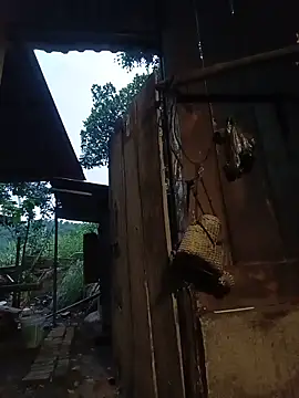 Jinli_01 webcam