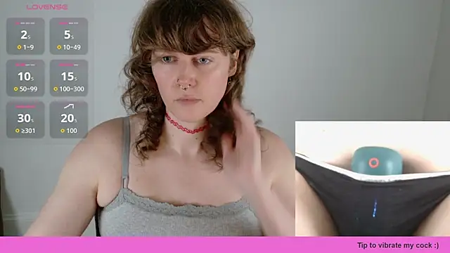 tsellieryder webcam