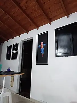 SilvaBranko webcam