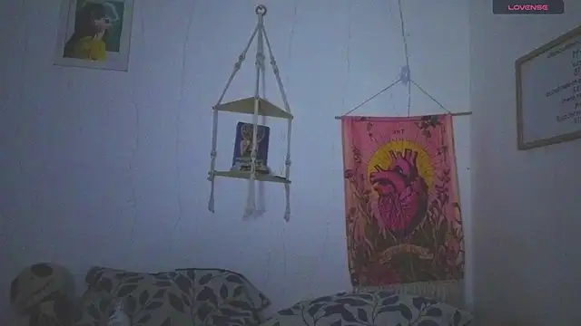 Miia330 webcam