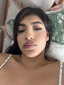 Misty-kat webcam