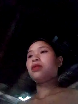 Liss-mimi webcam