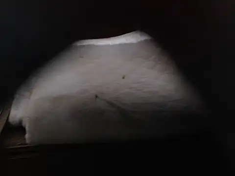 Silari1977 webcam