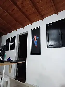 SilvaBranko webcam