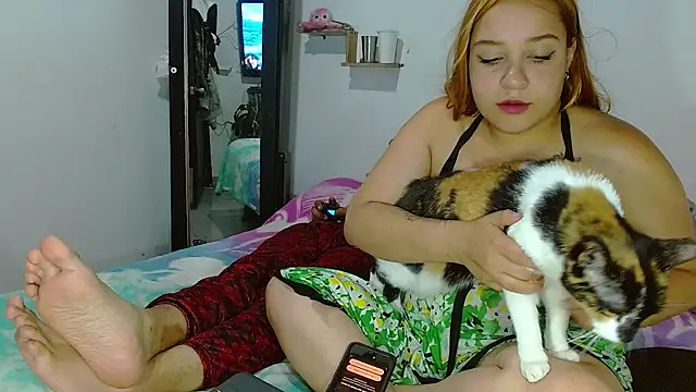 curvivan webcam