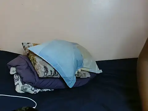 luzrem webcam