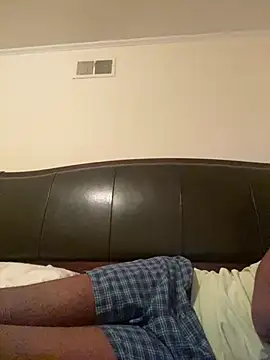 ThickDic28 webcam