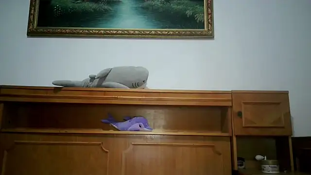 nicholle webcam