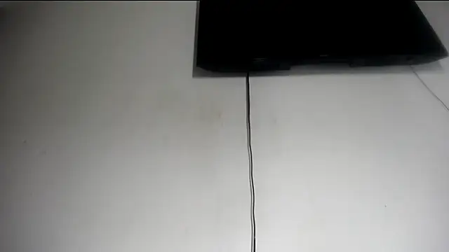 Fox_Loves webcam