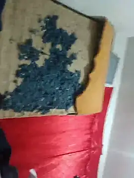 Heartsarm webcam