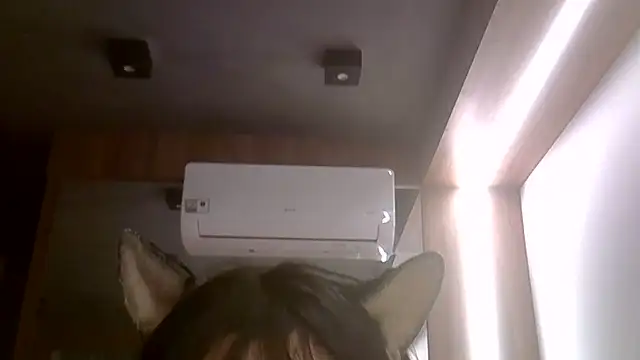 SkinnyKitten webcam