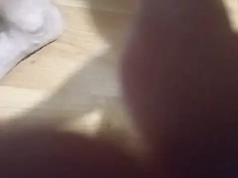 assRider21cm webcam