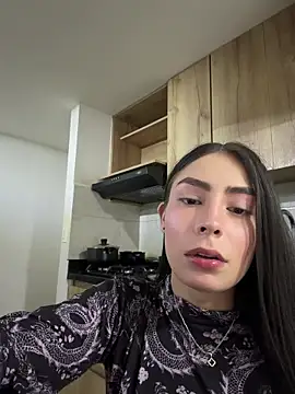 Modelo: Camistar18