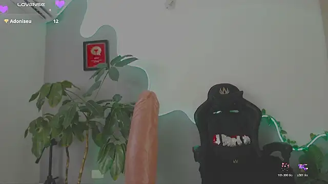 LauPolett webcam