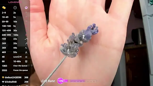 jasminedaze888 live cam