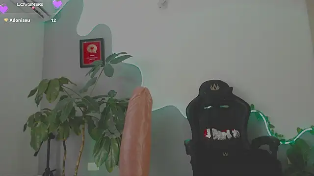 LauPolett webcam