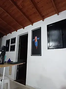 SilvaBranko webcam