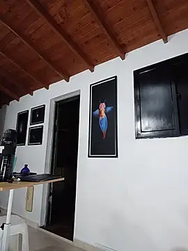SilvaBranko webcam