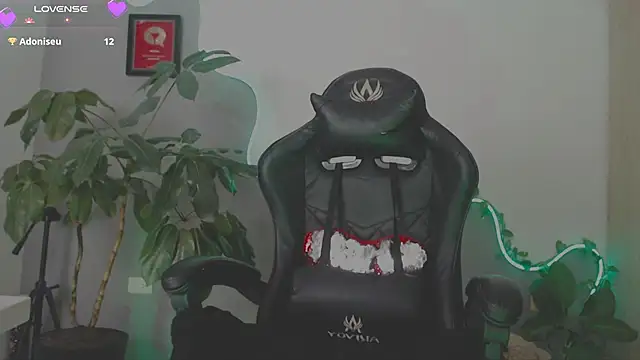 LauPolett webcam