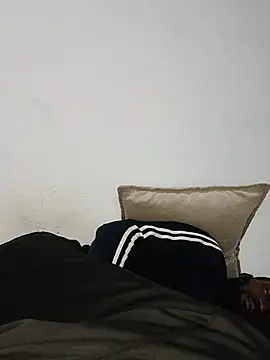 Bulletact webcam